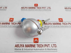 Pyro-controle Temperature Sensor Pt100