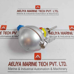 Pyro-controle Temperature Sensor Pt100
