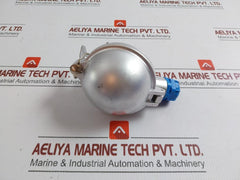 Pyro-controle Temperature Sensor Pt100