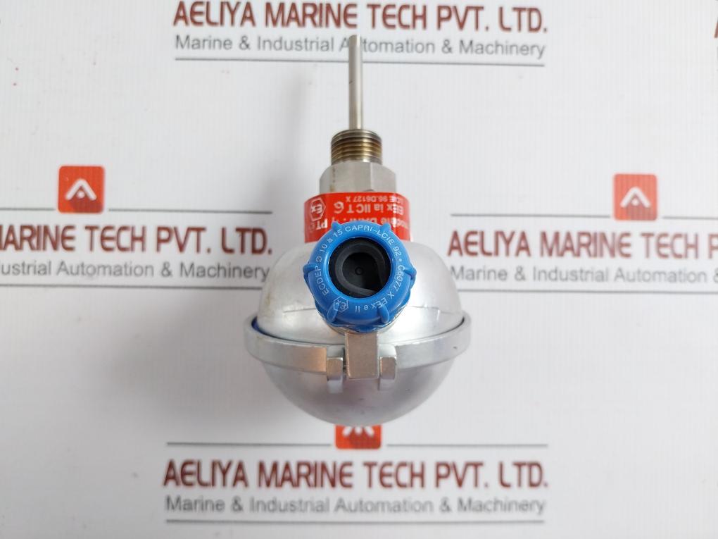Pyro-controle Temperature Sensor Pt100