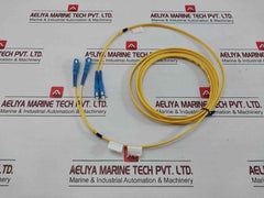 R0172-31 Sc-sc Sm Dpx 03M (9/125)