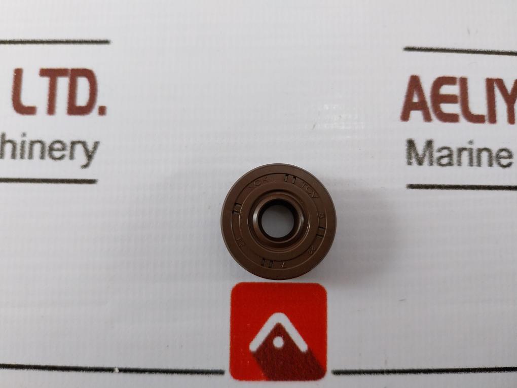 R+W Overhaul Kit For Pilot Burner Pump PZHDS30