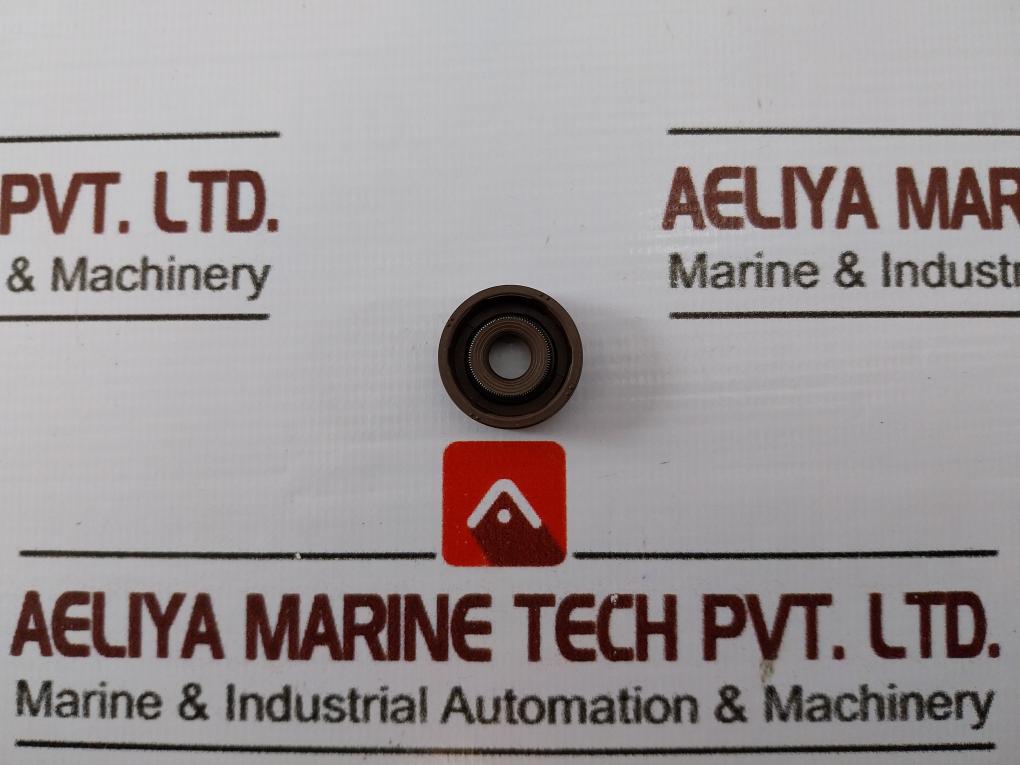 R+W Overhaul Kit For Pilot Burner Pump PZHDS30