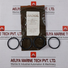 Radoil 190,800-16-02 Solas Ps Kit 120Vac 24Vdc Ss030B 111100-20-01