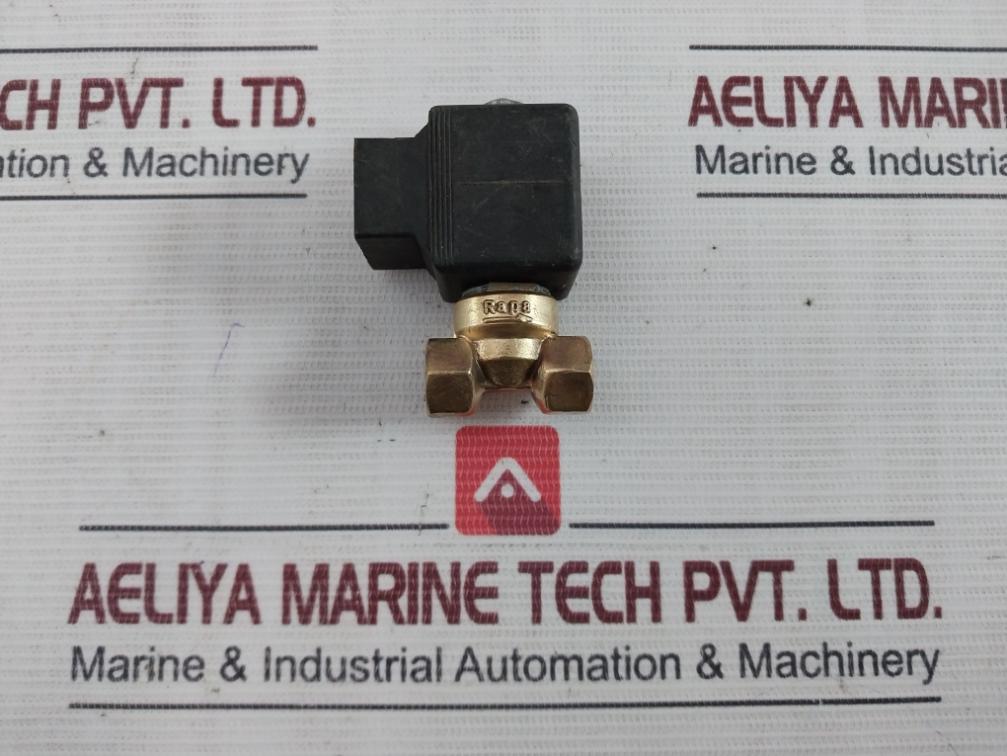 Rapa Bv 01 L2 Solenoid Valve & Coil 50-60Hz