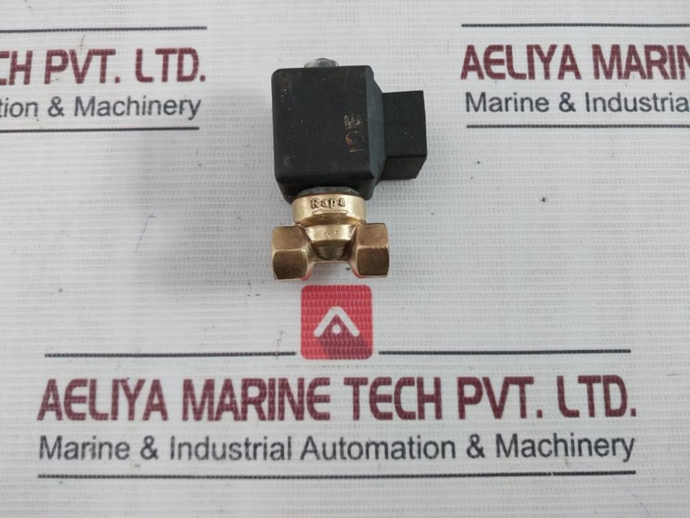 Rapa Bv 01 L2 Solenoid Valve & Coil 50-60Hz