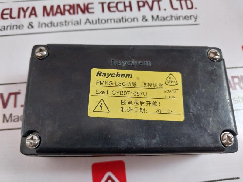 Raychem Pmkg-lsc Explosion-proof Junction Box 380V 40A