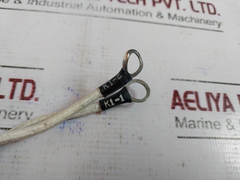 RECKON WIRE RESISTOR Light Bulb 250V/25W