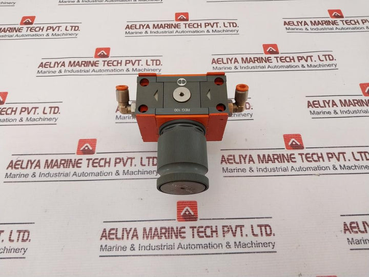 Reg 100 0-12 Bar Pressure Regulator 0-170 Psi