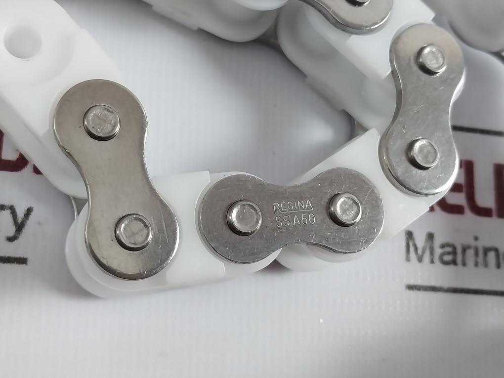 Regina Ssa50 Roller And Conveyor Chain New