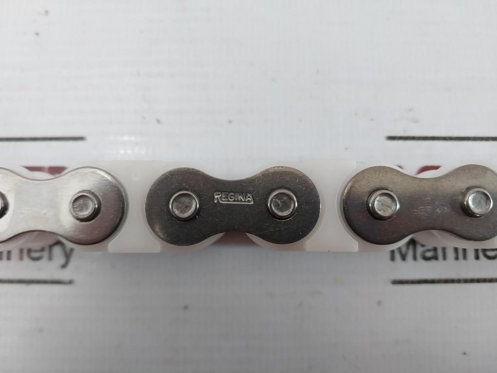 Regina Ssa50 Roller And Conveyor Chain