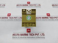 Relay 110/220Vca Coel Pe