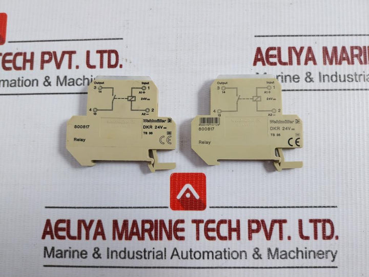 Relay Module 800817 Dkr Weidmuller 24V Dc