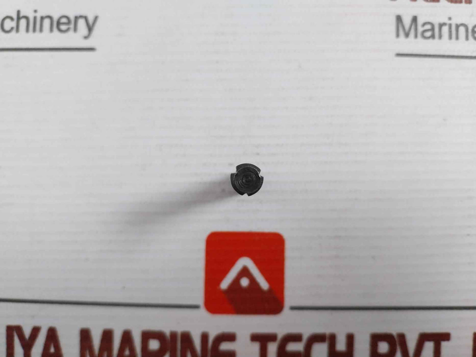 Reliance 41164244A Coupling (Spring, Coup, Pin)