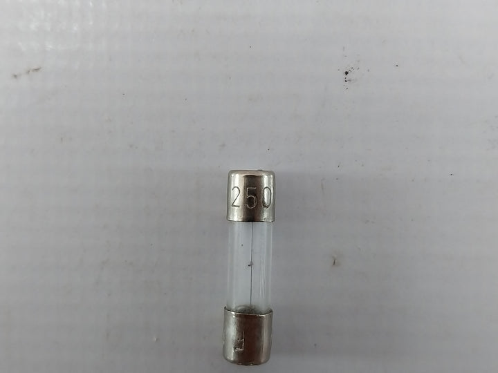 Lot of 10X Reliance Fuse 250V