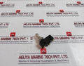 Renew Rz-15gq22-b3 Plunger Micro Switch