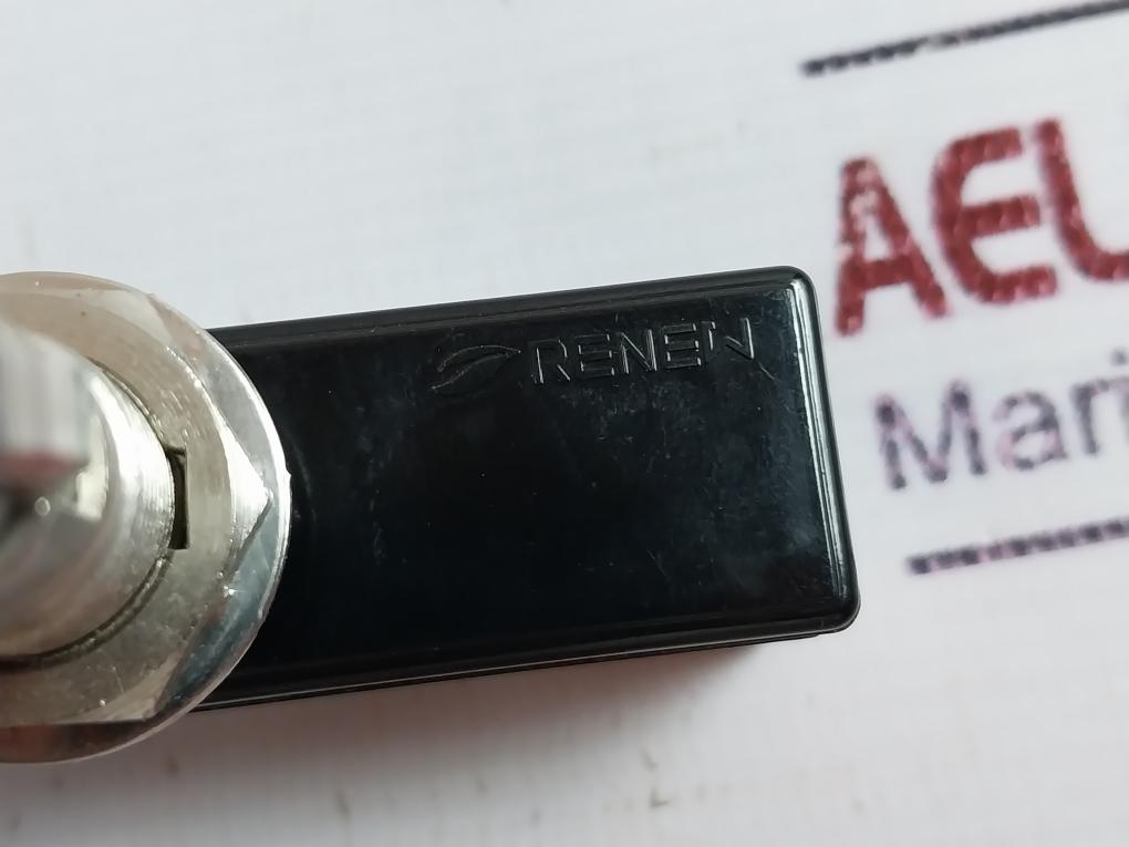 Renew Rz-15gq22-b3 Plunger Micro Switch