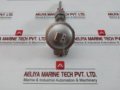 Resistance Temperature Detector Probe Ttr-ln Daeyang