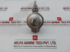 Resistance Temperature Detector Probe Ttr-ln Daeyang
