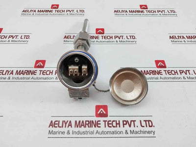 Resistance Temperature Detector Probe Ttr-ln Daeyang