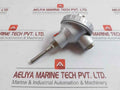 Resistance Temperature Detector Wzp-138 Shanghai Automation