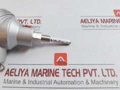 Resistance Temperature Detector Wzp-138 Shanghai Automation
