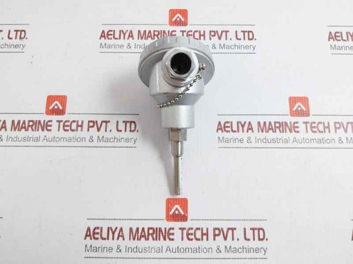 Resistance Temperature Detector Wzp-138 Shanghai Automation