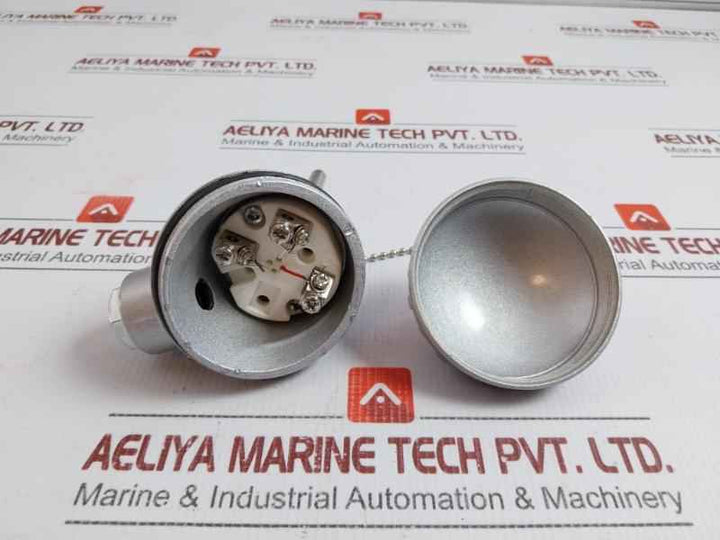 Resistance Temperature Detector Wzp-138 Shanghai Automation