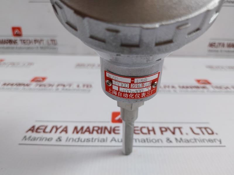 Resistance Temperature Detector Wzp-138 Shanghai Automation