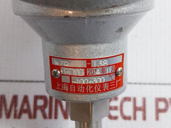 Resistance Temperature Detector Wzp-138 Shanghai Automation