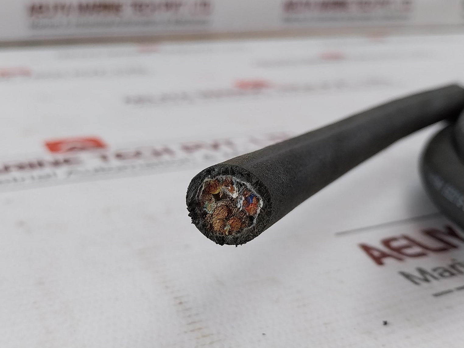 Rexroth 0 608 740 103 Screw &; Press-fit Cable Assembly 2-meter S-010-s-a