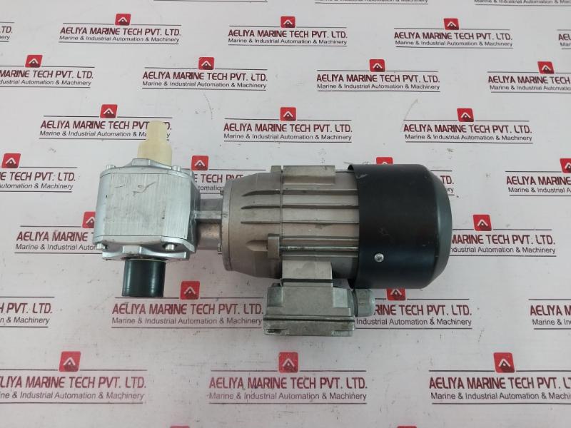 Rexroth 3 842 532 421 Motor With Gear Reducer Ip55 230/400V 0,25Kw