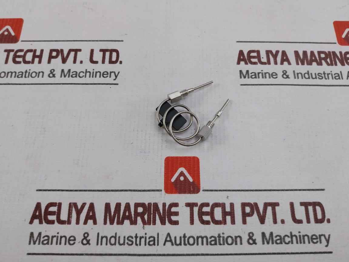 Rheodyne Wat096225 Sample Loop 50Ul