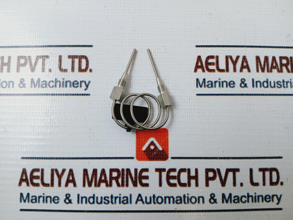 Rheodyne WAT096225 Sample Loop 50µl