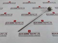 Riccato Pt-100 Ω Rtd Temperature Sensor 350-mm