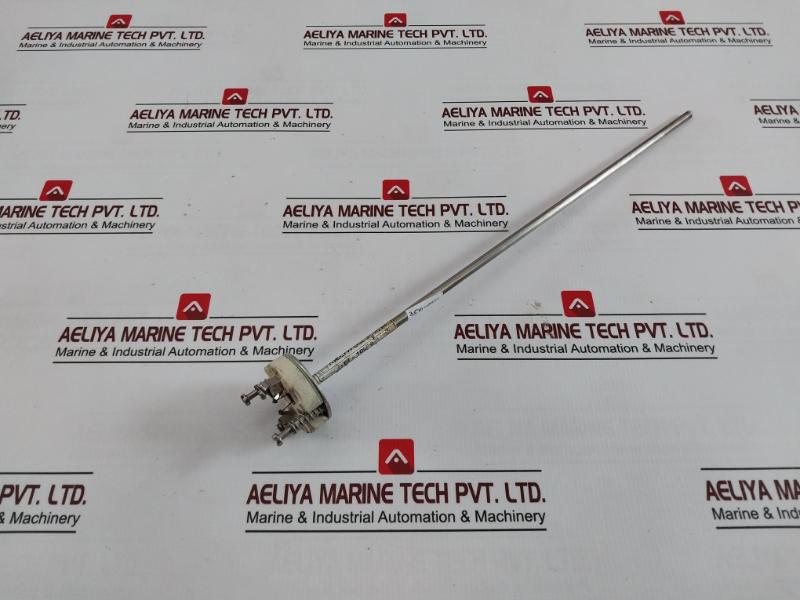 Riccato Pt-100 Ω Rtd Temperature Sensor 350-mm