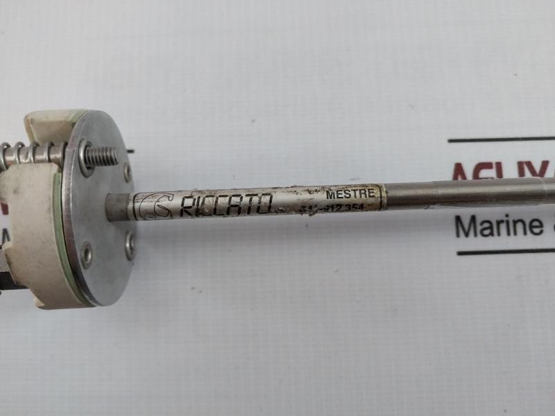 Riccato Pt-100 Ω Rtd Temperature Sensor 350-mm