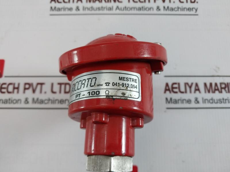 Riccato Pt-100Ω Temperature Sensor 150-mm