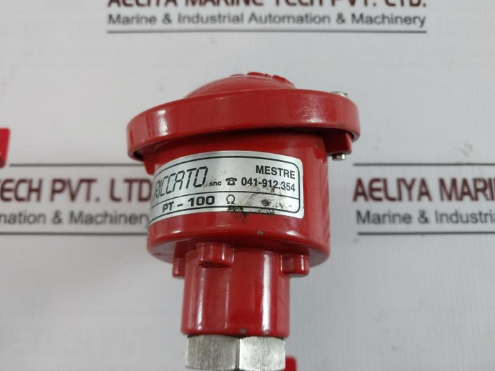 Riccato Pt-100Ω Temperature Sensor 150-mm