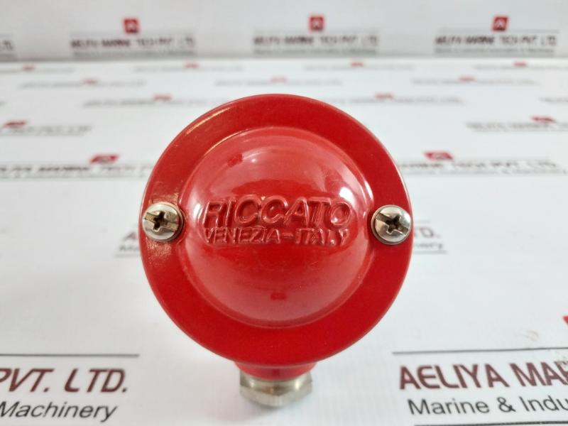 Riccato Pt-100Ω Temperature Sensor 150-mm