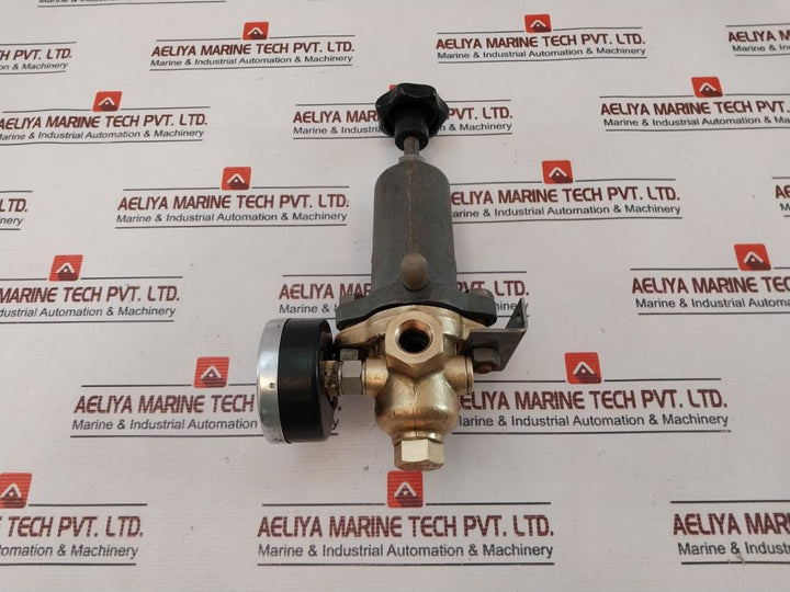 Riegler 0-230 Lb/in2 Pressure Gauge
