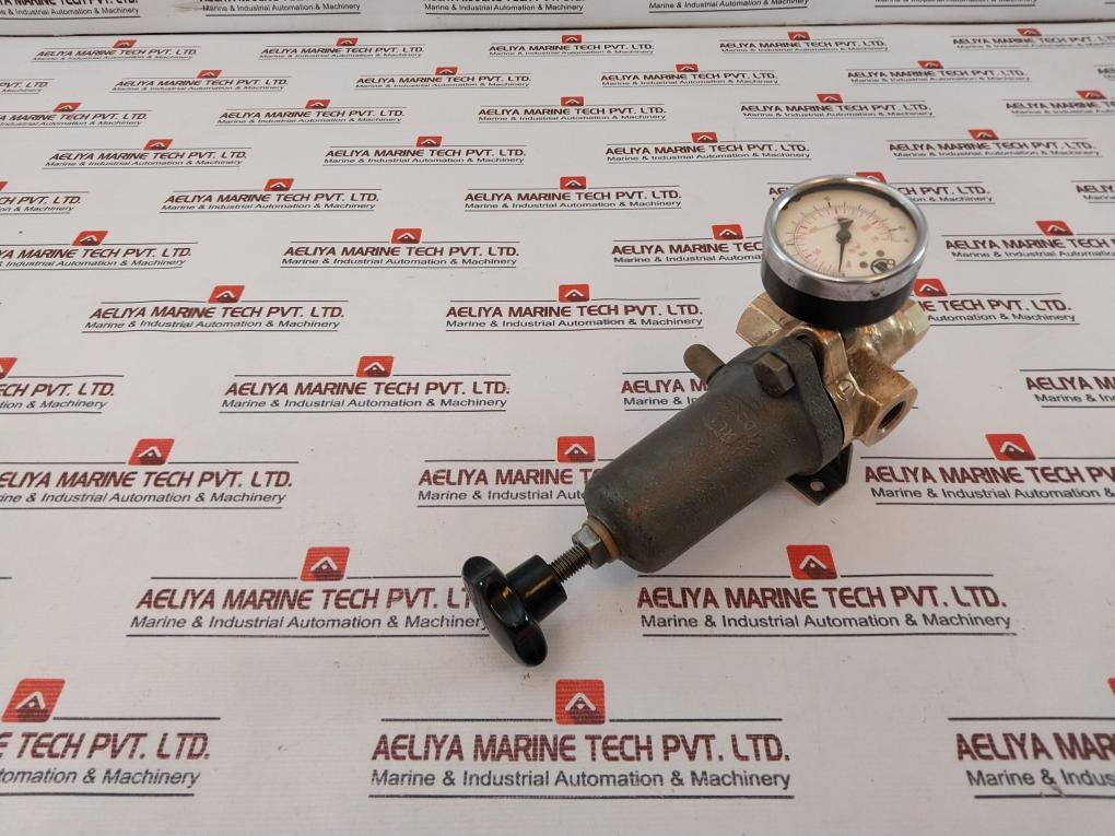 Riegler 0-230 Lb/in2 Pressure Gauge