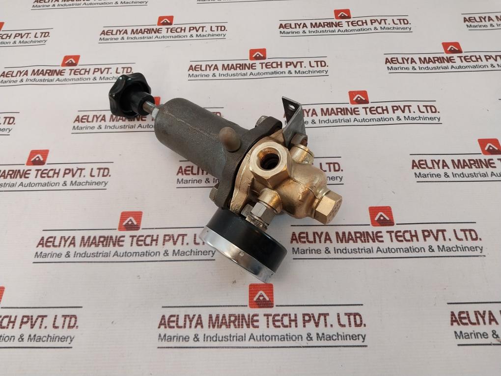Riegler 0-230 Lb/in2 Pressure Gauge