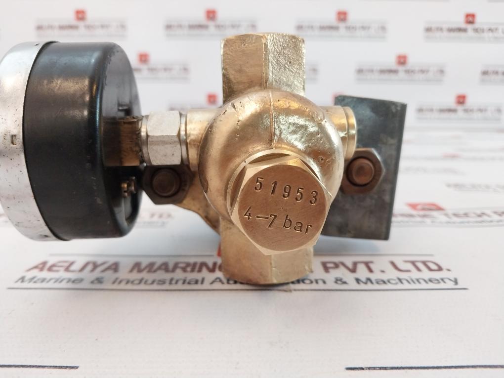 Riegler 0-230 Lb/in2 Pressure Gauge