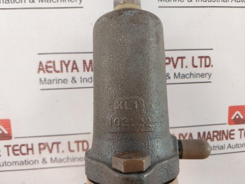 Riegler 0-230 Lb/in2 Pressure Gauge