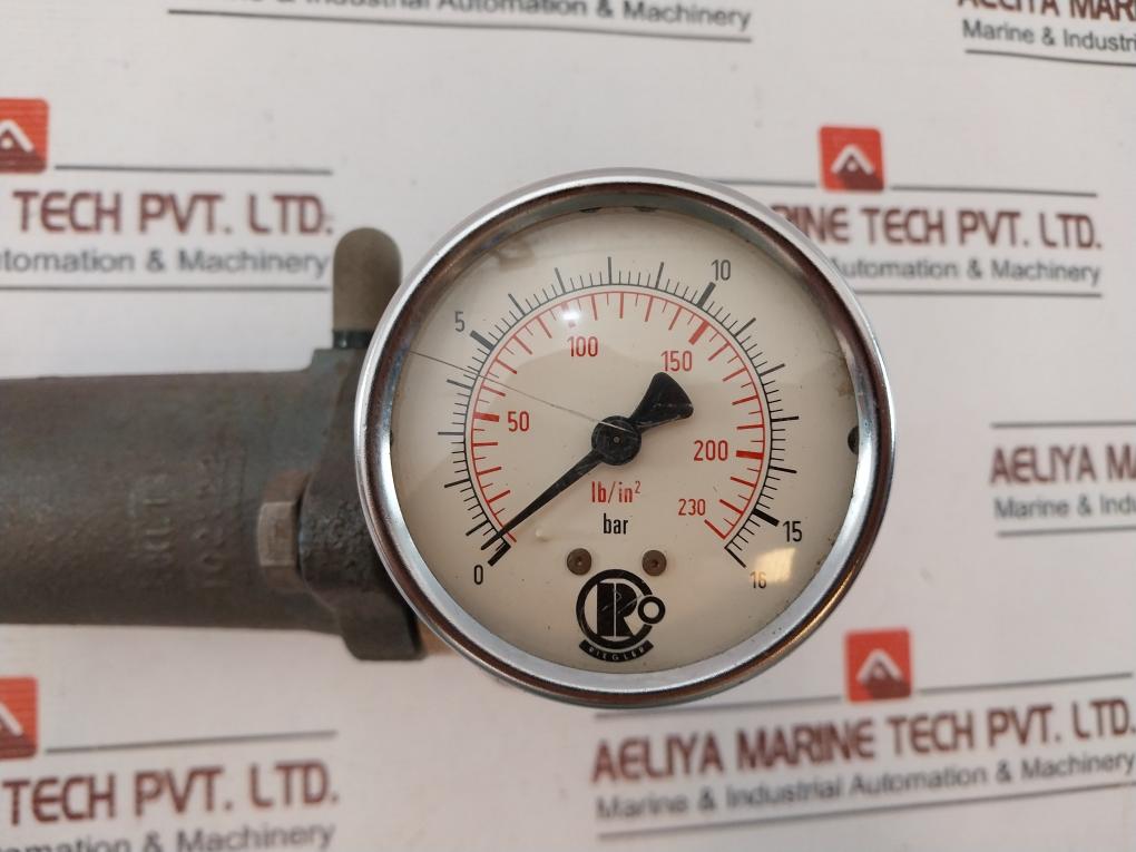 Riegler 0-230 Lb/in2 Pressure Gauge
