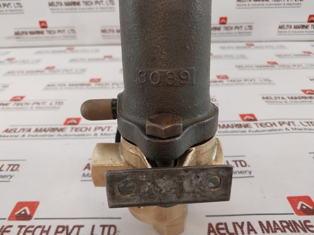Riegler 0-230 Lb/in2 Pressure Gauge