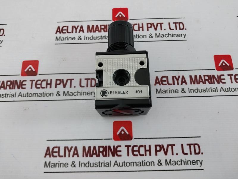 Riegler 404 Pressure Regulator, 0.5-10 Bar, 7-145 Psi