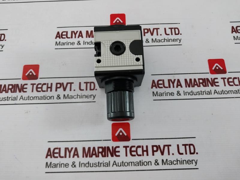 Riegler 404 Pressure Regulator, 0.5-10 Bar, 7-145 Psi