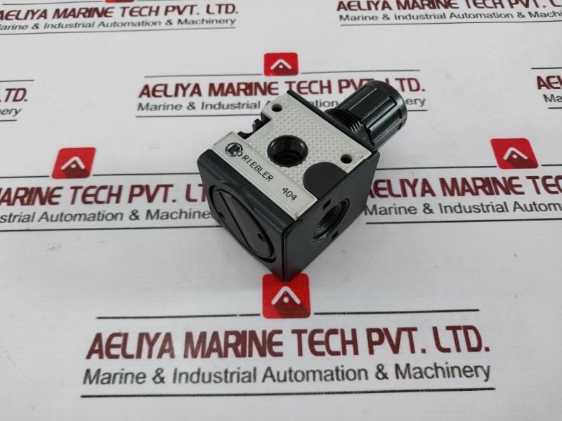 Riegler 404 Pressure Regulator, 0.5-10 Bar, 7-145 Psi